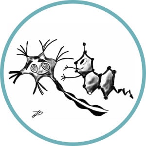 Test THC v urinu - marihuana