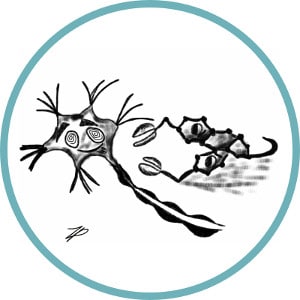 Test opiatov v urinu (3 testi) - zanesljivi hitri test na droge